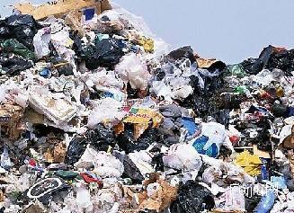 海上首次发现能分解废塑料的微生物