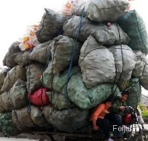 大学生收废品年收入近百万