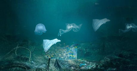 海洋废弃物与“海洋垃圾”有何不同？