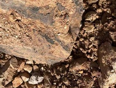 钢厂利润受挤压 铁矿石震荡走高