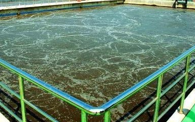 宝鸡查处一起利用渗坑排放废水案 宝鸡查处一起利用渗坑排放废水案