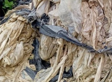 纳浪镇:地膜“以旧换新” 废物回收再利用 Dingtalk_20211011144514.jpg