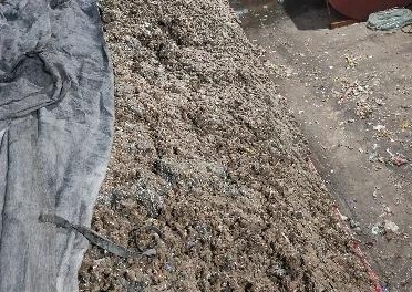 “以纸代塑”风潮下 纸浆模塑市场有多火