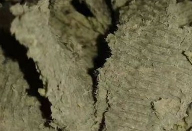 纸浆节前节后均涨 纸价走势如何？