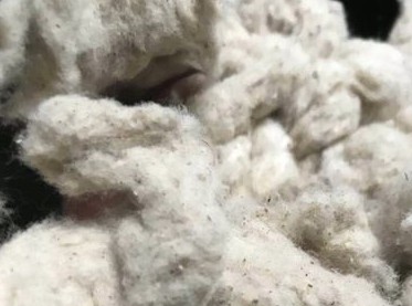 化纤对棉花的替代趋势会被改变吗? 76.jpg