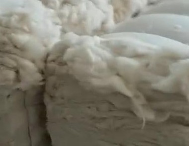 首届全国生态纺织论坛在青岛成功举行 128.jpg