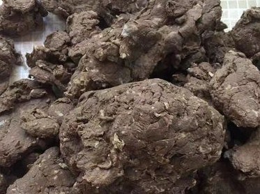 二季度Canfor Pulp纸浆产量环比增长6%